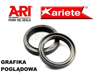 Uszczelniacz przedniego zawieszenia 43x54x9,5/10,5 TCL (olejowy) ARI.090 - komplet, 2 sztuki