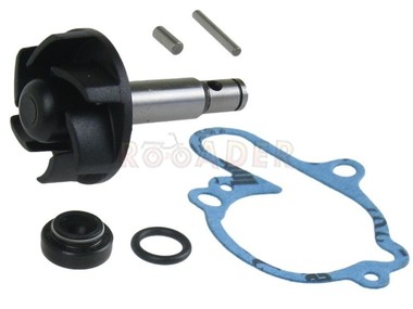 Zestaw naprawczy pompy płynu chłodzącego YAMAHA TZR50, DT50; MBK X-Limit, X-Power (silnik Minarelli AM6)