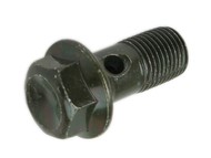 Śruba przewodu hamulca M10x1,0 / długość 22mm/29mm / na klucz 12mm