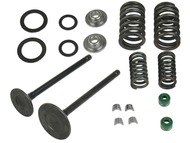 Zawór głowicy ROMET, JUNAK, BARTON, ZIPP, LONCIN 150cm3 (CG150) - komplet, ssący + wydechowy (komplet ze sprężynami, uszczelniaczami i zabezpieczeniami)