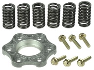 Sprężyna docisku sprzęgła do silnika 169FMM, CB250 - 250cm3 - do motocykli Romet, Barton, Junak, Zipp (komplet, 6 sztuk + docisk i śruby)