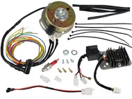 Iskrownik (stator), zapłon bezstykowy CDI do WSK 125