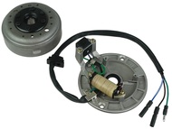 Stojan alternatora do silnika YX140 (1 cewka, 3 przewody) 140cm3 - do motocykli typu Pit Bike, Dirt Bike, Cross (RXF, MRF, YCF, KAYO) + koło magnesowe
